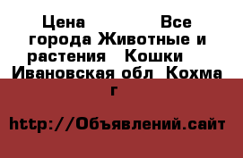 Zolton › Цена ­ 30 000 - Все города Животные и растения » Кошки   . Ивановская обл.,Кохма г.